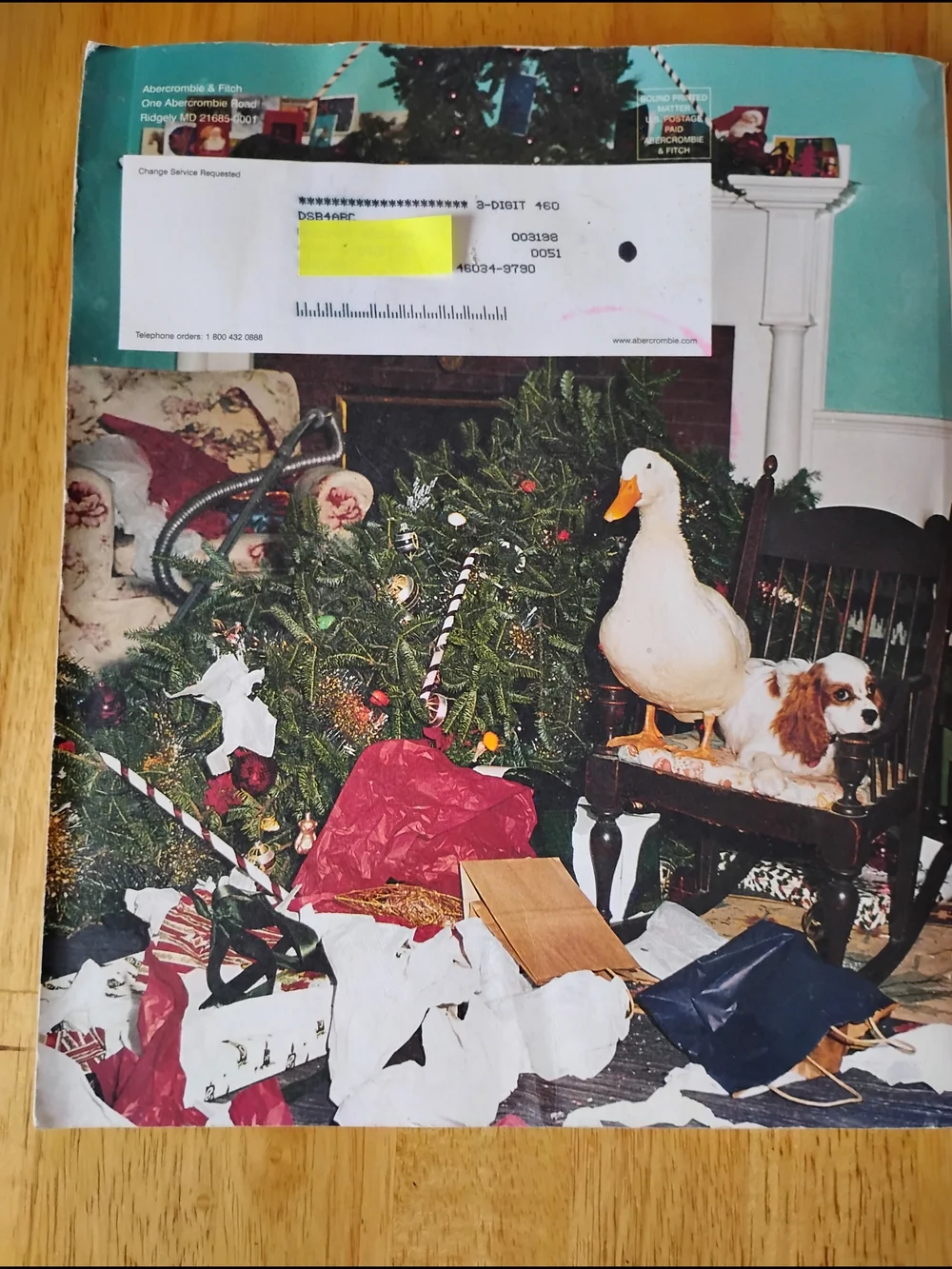 Abercrombie & Fitch Holiday Catalog From Christmas 2000 - Picture 5 of 8